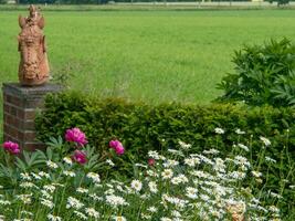 heure d'été dans le jardin photo