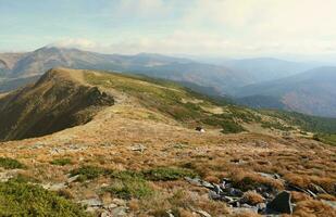 monter hoverla pendaison de pointe de le ukrainien Carpates contre le Contexte de le ciel photo