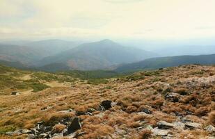 monter hoverla pendaison de pointe de le ukrainien Carpates contre le Contexte de le ciel photo