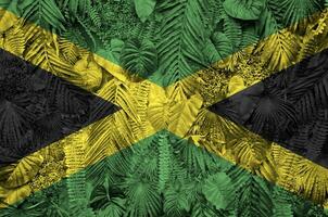 Jamaïque drapeau représenté sur beaucoup feuilles de monstera paume des arbres. branché à la mode toile de fond photo