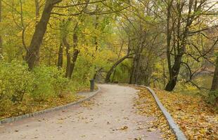 magnifique la nature l'automne paysage. paysage vue sur l'automne ville parc avec d'or Jaune feuillage dans nuageux journée photo