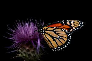 monarque papillon sur fleur. neural réseau ai généré photo