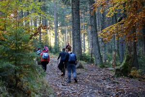 carpates, ukraine - 8 octobre 2022 mont hoverla. carpates en ukraine en automne photo