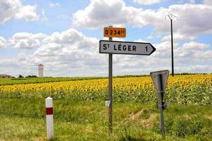 une rue signe dans le milieu de une champ photo