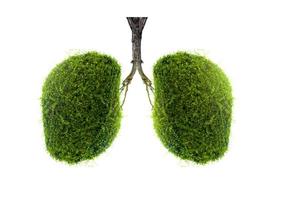 illustration de l'environnement et de la médecine de l'arbre pulmonaire photo