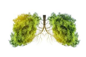 illustration de l'environnement et de la médecine de l'arbre pulmonaire photo