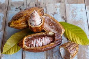 cabosses de cacao fraîches et feuilles de cacao sur fond de bois photo