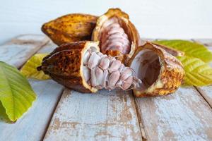 cabosses de cacao fraîches et feuilles de cacao sur fond de bois photo