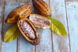 cabosses de cacao fraîches et feuilles de cacao sur fond de bois photo