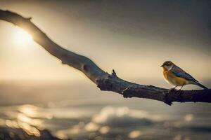 une oiseau est assis sur une branche dans de face de le Soleil. généré par ai photo