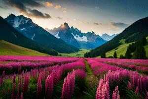 une champ de violet fleurs dans de face de montagnes. généré par ai photo