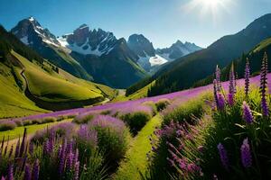 le Soleil brille sur une champ de violet fleurs dans le montagnes. généré par ai photo