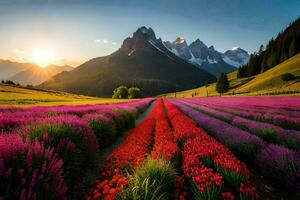 le Soleil monte plus de une champ de violet fleurs. généré par ai photo