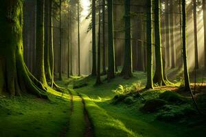 photographier - forêt chemin par James Watson. généré par ai photo
