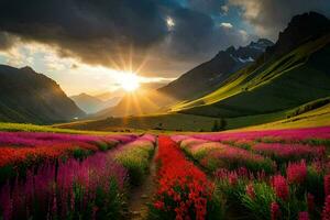 le Soleil monte plus de une champ de fleurs dans le montagnes. généré par ai photo