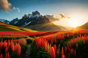 le Soleil monte plus de une champ de rouge fleurs et montagnes. généré par ai photo