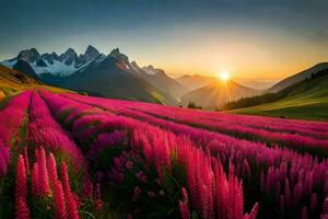 le Soleil monte plus de une champ de rose fleurs dans le montagnes. généré par ai photo