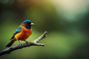 une coloré oiseau est assis sur une branche. généré par ai photo