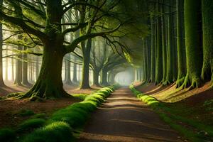 une chemin par une forêt avec des arbres et herbe. généré par ai photo