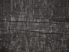texture bois sombre dans le jardin photo