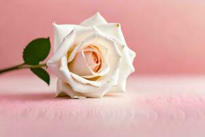 une Célibataire blanc Rose sur une rose Contexte. généré par ai photo