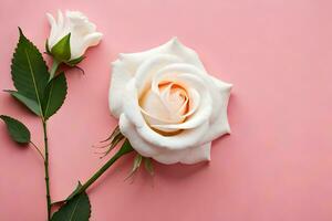 deux blanc des roses sur une rose Contexte. généré par ai photo