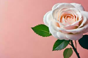 blanc Rose sur rose Contexte. généré par ai photo