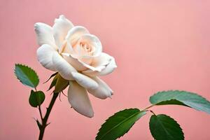 blanc Rose sur rose Contexte. généré par ai photo