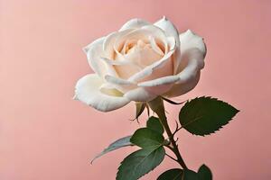 blanc Rose sur rose Contexte. généré par ai photo
