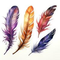 aquarelle multicolore riches brillant plumes, rêver receveur, isolé plume pour différent conceptions. photo