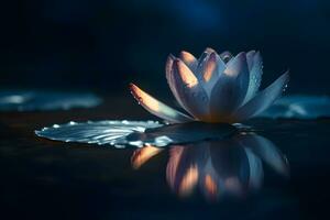 lotus fleur dans le l'eau à nuit. neural réseau ai généré photo