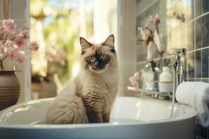 Siamois chats, salle de bains alentours. génératif ai photo
