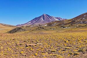 piedras rojas - atacama désert - san pedro de atacama. photo