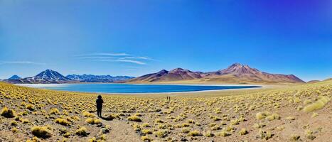 miscanti altiplanique lagune dans le atacama désert - san pedro de atacama. photo