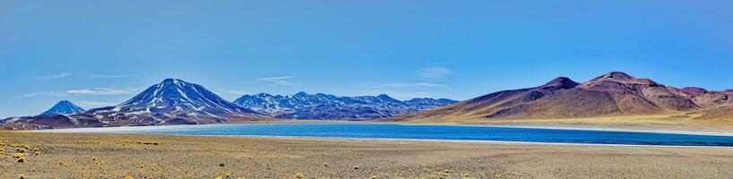 miscanti altiplanique lagune dans le atacama désert - san pedro de atacama. photo