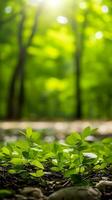 lever du soleil forêt paysage avec herbe et des nuages , ai généré photo