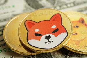 shiba inu pièce de monnaie pour en ligne affaires et commercial, numérique monnaie, virtuel crypto-monnaie. photo