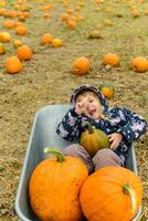 mignonne petit fille mensonge dans brouette avec coloré citrouilles photo