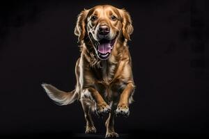 beauté d'or retriever chien. neural réseau ai généré photo