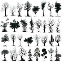 ensemble de des arbres silhouettes isolé sur blanc Contexte génératif ai. photo