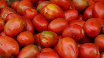 Tomate en grappe au marché traditionnel photo