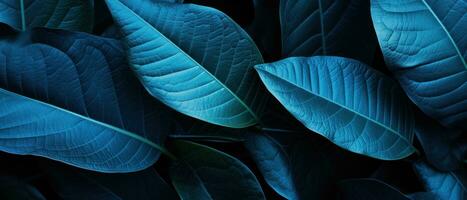 fermer de de couleur bleue tropical feuilles. ai génératif photo