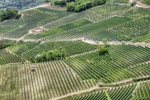 vignobles de la région vallonnée des langhe, piémont, italie du nord photo