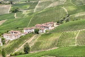 ferme viticole entourée de vignes, dans la région des langhe, en italie. photo