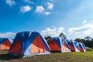 tente touristique camping près de la forêt de pins photo