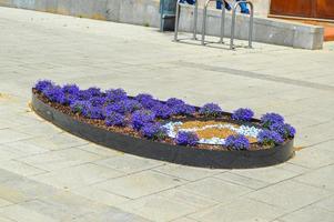 festival des fleurs à girona temps de flors, espagne. 2018 photo