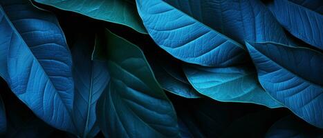 fermer de de couleur bleue tropical feuilles. ai génératif photo