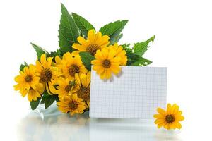 bouquet de Jaune été magnifique marguerites sur une blanc Contexte. photo