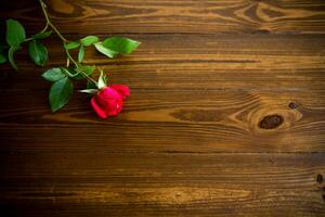 un rouge magnifique épanouissement Rose sur une en bois table photo