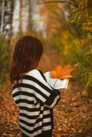 fille avec taches de rousseur avec une livre parmi l'automne feuilles photo